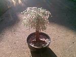    
: Photo-0008.jpg
: 6
:	234.2 
ID:	4814673
