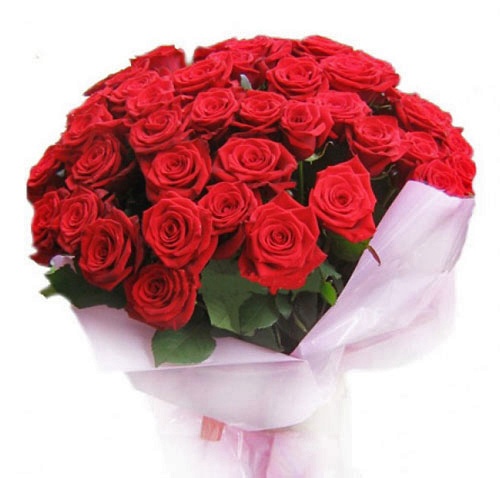     
: e7e1f43879c1d9a6c014abdc6028d19309dae67e_500.jpg
: 1
:	60.3 
ID:	4817182