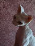     
: P6261451.jpg
: 26
:	94.4 
ID:	4818657