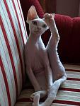     
: P6261457.jpg
: 21
:	90.4 
ID:	4818659