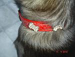     
: DSC03520.jpg
: 7
:	194.8 
ID:	4818829