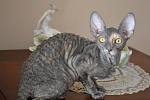     
: DSC_0051.jpg
: 15
:	91.5 
ID:	4819330