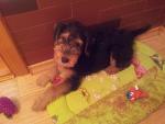     
: 20120911_163115.jpg
: 95
:	102.9 
ID:	4821387
