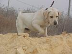     
: P1020343.jpg
: 3
:	90.7 
ID:	4824597