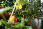     
: IMG_0200.jpg
: 25
:	96.7 
ID:	482547
