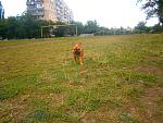     
: P9081091.jpg
: 5
:	254.7 
ID:	4825764