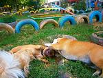     
: P8150870.jpg
: 5
:	240.7 
ID:	4825805