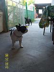     
: 100_4582.jpg
: 10
:	89.6 
ID:	4828018