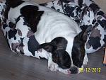     
: 100_4633.jpg
: 10
:	152.7 
ID:	4828029