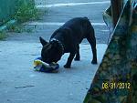     
: 100_4570.jpg
: 10
:	145.5 
ID:	4828042