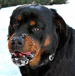    
: getImage123.jpg
: 5
:	57.1 
ID:	4828120