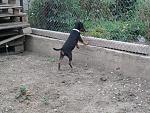     
: Фото-0278.jpg
: 1
:	260.6 
ID:	4830012