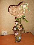     
: DSCN2553.jpg
: 6
:	119.1 
ID:	4832018