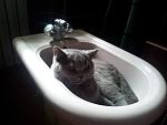     
: 20120910_125816.jpg
: 19
:	87.5 
ID:	4832049