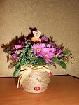     
: DSCN2570.jpg
: 5
:	123.3 
ID:	4832059