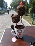     
: DSCN2291.jpg
: 8
:	117.4 
ID:	4832100