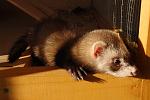     
: DSC_0111.jpg
: 61
:	111.7 
ID:	4836152