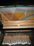     
: IMG_2772 (2).JPG
: 76
:	135.7 
ID:	4840375