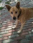     
: IMG_0738.jpg
: 14
:	94.8 
ID:	4842409