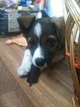     
: IMG_0734.jpg
: 35
:	81.3 
ID:	4843439