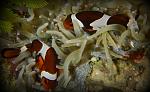     
: DSCN0927.JPG
: 25
:	256.3 
ID:	4845531