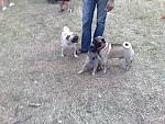     
: 13092009305.jpg
: 63
:	206.3 
ID:	484747