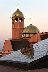     
: IMG_3412.jpg
: 11
:	62.4 
ID:	4847991
