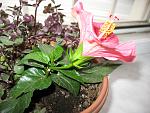     
: IMG_0761.jpg
: 2
:	165.1 
ID:	4848739
