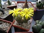     
: IMG_0774.jpg
: 5
:	129.4 
ID:	4848756