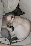     
: IMG_3353_новый размер.JPG
: 9
:	70.2 
ID:	4848947