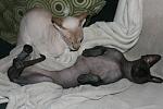     
: IMG_3355_новый размер.JPG
: 10
:	68.1 
ID:	4848949