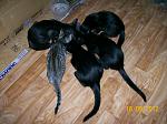     
: 100_4330.jpg
: 9
:	156.6 
ID:	4849410