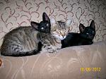     
: 100_4367.jpg
: 9
:	161.6 
ID:	4849412
