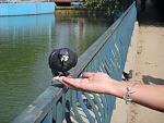     
: DSC00377.jpg
: 17
:	107.6 
ID:	4850198
