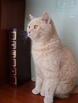     
: DSC04772.JPG
: 5
:	95.3 
ID:	4851139