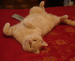    
: DSC04808.JPG
: 3
:	131.7 
ID:	4851141