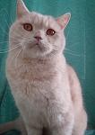     
: DSC04845.JPG
: 3
:	106.1 
ID:	4851142