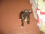     
: IMG_0020.jpg
: 37
:	86.5 
ID:	485192