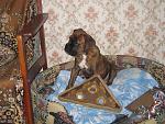     
: IMG_0026.jpg
: 40
:	216.5 
ID:	485194