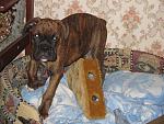     
: IMG_0032.jpg
: 40
:	190.5 
ID:	485196