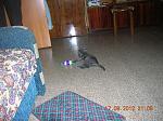     
: DSCN1807.jpg
: 4
:	247.3 
ID:	4852997