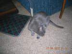     
: DSCN1812.jpg
: 7
:	303.5 
ID:	4852999