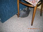     
: DSCN1811.jpg
: 3
:	300.6 
ID:	4853000