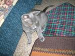     
: DSCN1810.jpg
: 9
:	242.7 
ID:	4853001