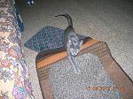    
: DSCN1808.jpg
: 5
:	305.5 
ID:	4853003