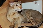     
: DSC_5463.jpg
: 3
:	102.1 
ID:	4854660