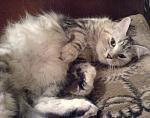     
: DSC04819.jpg
: 18
:	137.8 
ID:	4860709