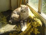     
: DSC09178.jpg
: 25
:	180.2 
ID:	4860710
