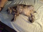    
: DSC02321.jpg
: 17
:	134.6 
ID:	4860711