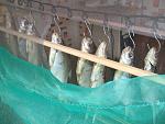     
: DSCF0386.jpg
: 15
:	211.0 
ID:	4863461
